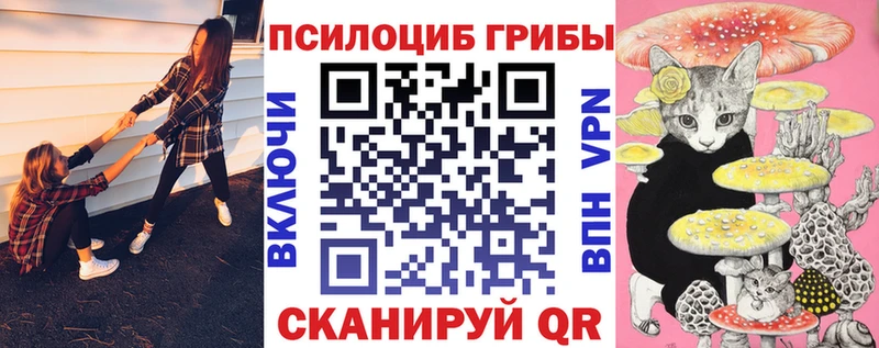 блэк спрут ССЫЛКА  где найти наркотики  Назрань  Галлюциногенные грибы прущие грибы 