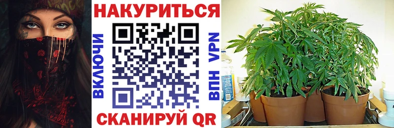 наркота  mega маркетплейс  Каннабис AK-47  Назрань 